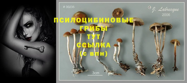 прущие крисы Баксан